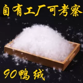 羽毛、羽绒
