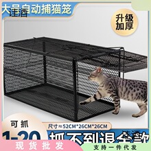 捕猫全自动捕猫笼人道救助捕抓捉猫咪新款大号逮捕流浪猫