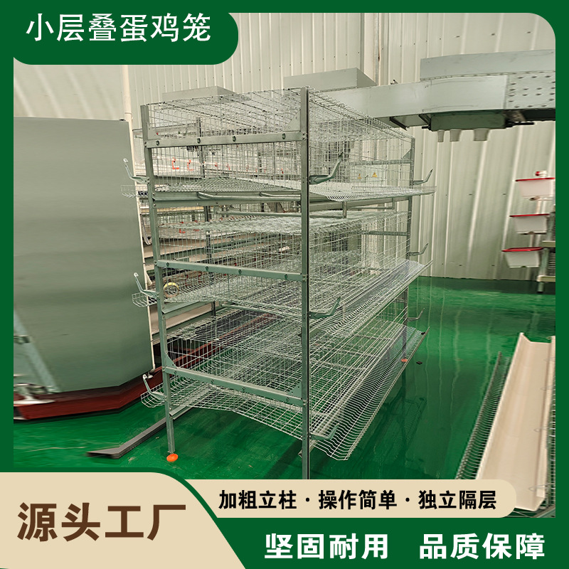 现货小层叠蛋鸡笼加密加粗全自动化养殖笼具热镀锌框架蛋鸡笼机械