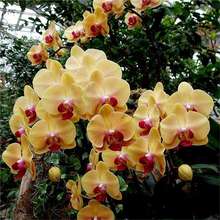 ���羳��̹�؛�����ۺ����m�N�� �{���Sβ�ϻ��Sβ�N�� ���ܷN��