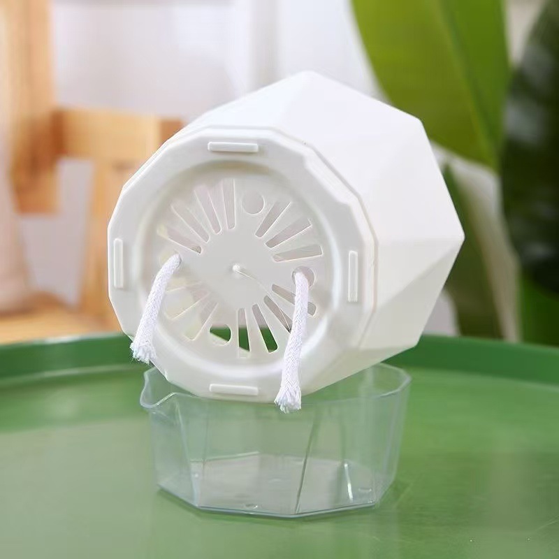 Nuevo riego libre maceta de flores autoabsorción de agua perezosa red rojo verde rosa rosa rosa galón maceta de plástico balcón orquídea maceta de carne