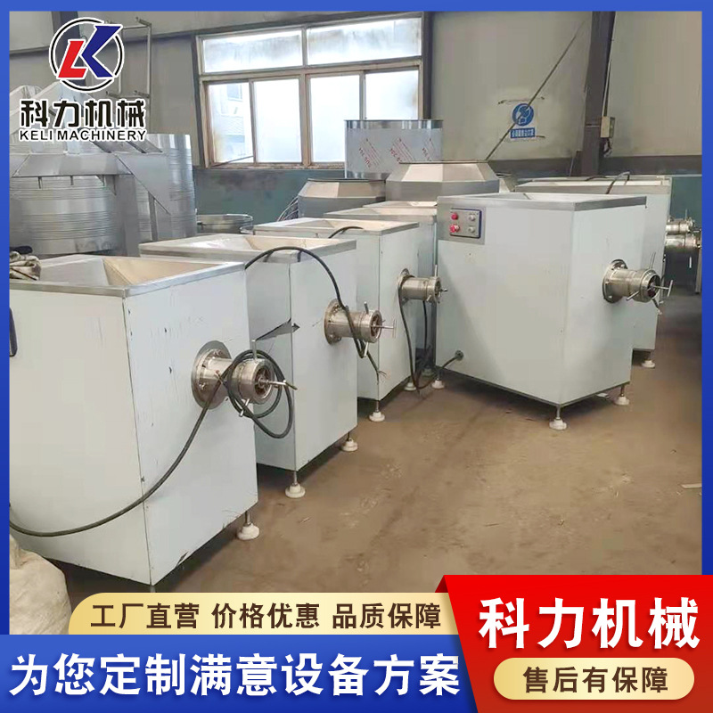 现货供应100型冻肉绞肉机 鲜肉绞肉机 鱼类绞肉机 质量好