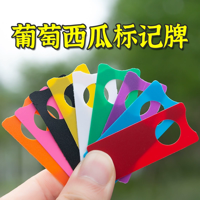 Пластиковые карты Виноградник номерной знак Классификация Арбузное опыление водонепроницаемый знак маркировки