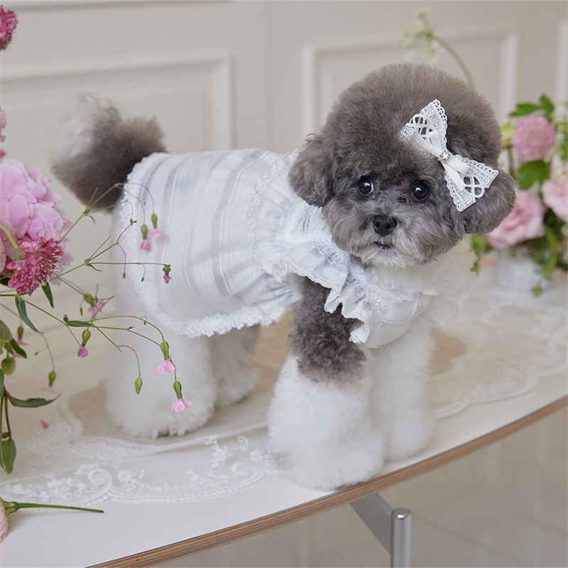 2025 mascota perro gato ropa primavera y verano algodón encaje falda a juego tocado horquilla