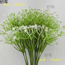 *��Y�M����ֲ��ٻ��[����c�ҾӾƵ��҃ȑ������컨�����b