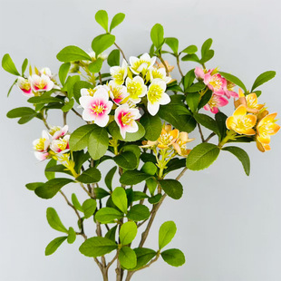 ���溣�u����֦�������u���滨�Gֲ�쾰����ֲ���҃ȷ������b�