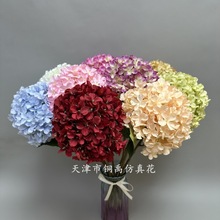 �����֧192Ƭ�����c�黨�꾫Ʒ���򻨠������bٻ�