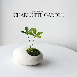 ����ֲ���҃Ȼ� �_�h�� ���_ľ ���\�� �k���ҾGֲ