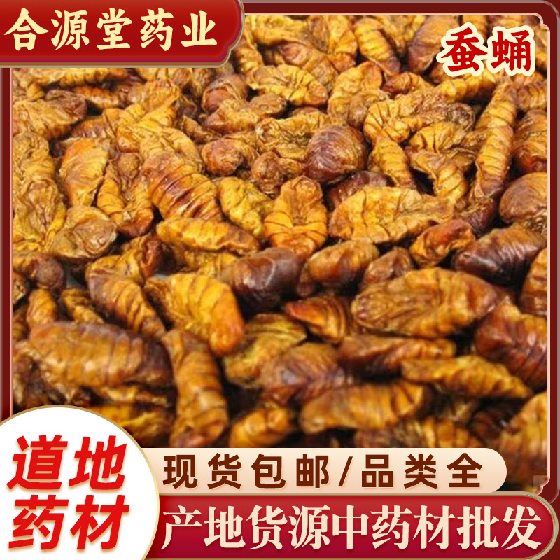 蚕蛹中药材批发 蚕蛹子 干蚕蛹 500g新货蚕蛹 产地货源一件代发