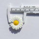 Bee Flower Series suit Cave Shoes Shoe Flower Soft Rubber Detachable Cave Shoe Buckle Girl Cute Cartoon