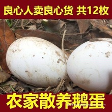 �Z��100-120���r�����B���r�ش������Z�����lһ���ЋD����