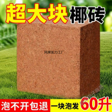 9���KҬ�u�I�B���B����Ҭ�Ӛ�����Ү�u�N������Ó�}Ҭ���u