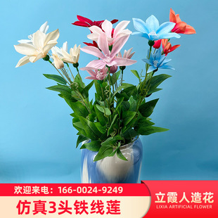 ����3�^�F��ɏ�ɻ���c��Y�廨��픰ٺϵ��Ż��ٻ��Ҿә����b�