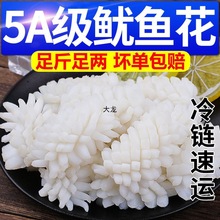 鱿鱼花新鲜冷冻目鱼花无冰衣现切鱿鱼卷块海鲜火锅食材
