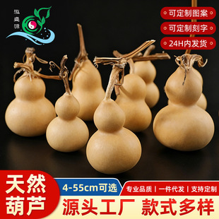 ���x��؛�������J��Ȼ����С���J�ְѼ�����P������[���S�����l