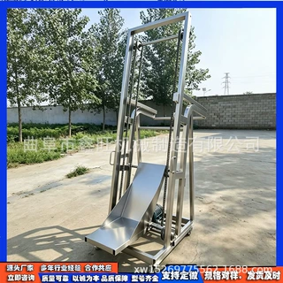 谷物灌装单斗提升机 杂粮入罐输送机 粮库储存配套翻斗上料机