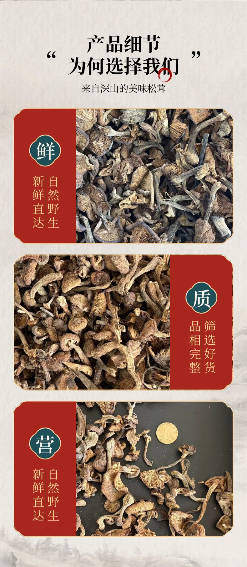 Dried Hazel Mushroom Buds Premium Grade Wild Forest Mushroom for Soup and Stew specifications