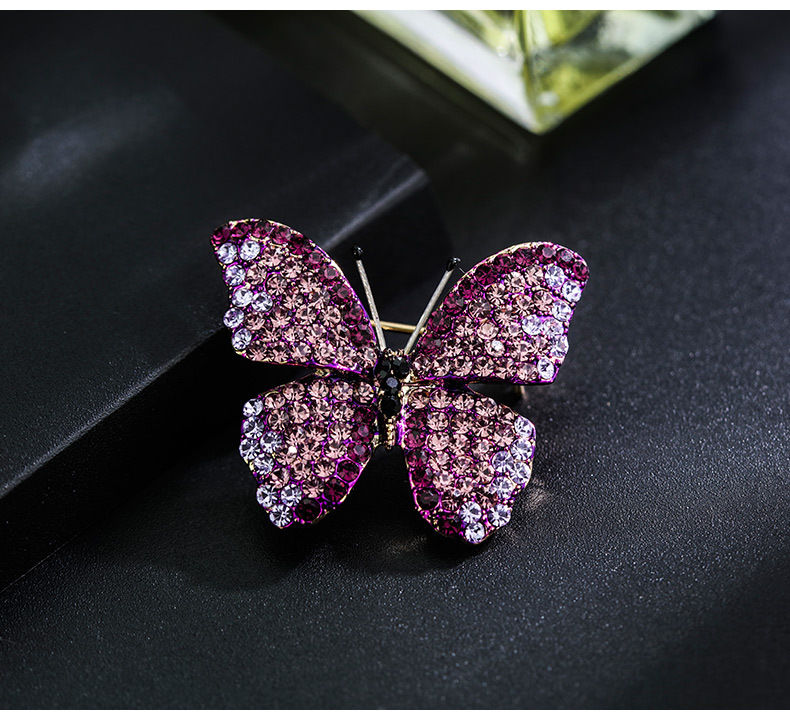 Daily Occasion Alloy Material Simple Style Pin Butterfly Alloy Plating Inlay Rhinestones Women's Brooches