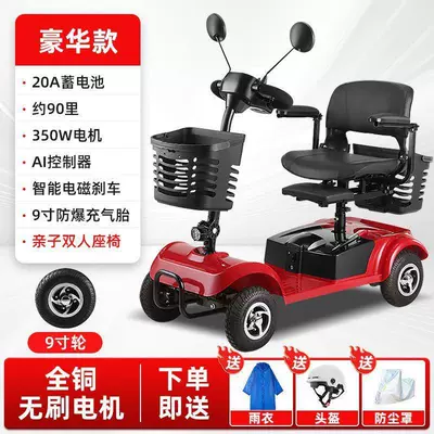 Qatlanan elektrik velosipedlər — Foldable Small Electric Vehicle - hot-selling-z-lead-acid-20a-battery-life-of-about-45-kilometers-all-copper-brushless-motor-9inch-explosion-proof-off-road-tires-mother-and-child-seat-awning