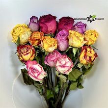 单头玫瑰干花花材真花小众大花头家居客厅高级干花滴胶风干花束