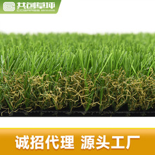 CCGrass��ƺ��̺�����˹��ٲ�Ƥ�����׃��@�|�����칤�̰�ȫ���o