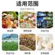 Papain 200000 u/g meat tenderizing enzyme preparation biscuit bread edible papaya extract bag