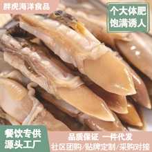 �r����֭�|�������|�ӆ΃����|���|���}�ӟoɳ�|�������l�