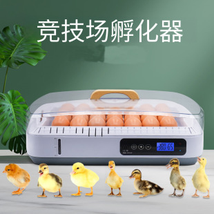 ȫ�Ԅ�����С�ͷ����������u�������C����������u���Z�N��������