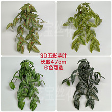 40����������Աڒ� 3D�ָ��~����Ϲ����҃��̨�bG�~�����~