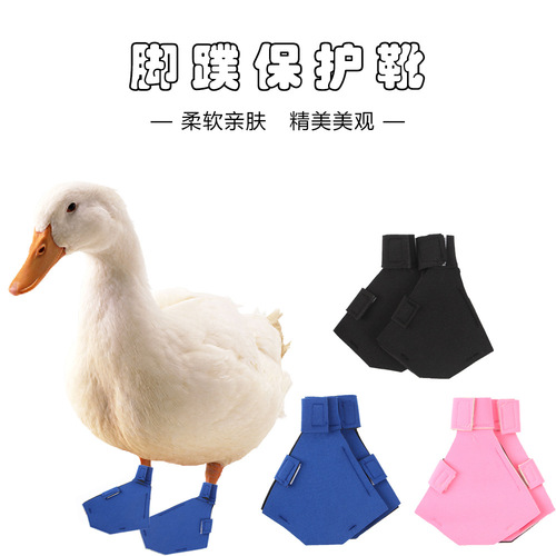 Manufacturer's new product best-selling duck and goose flipper shoes pet duck Cole duck paw poultry boots foot protection non-slip boots