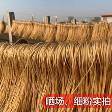 批发红薯粉条细粉正宗红薯粉酸辣粉火锅丝粉农家红薯粉火锅干粉丝