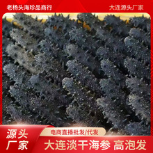 【工厂批发】9年大连深海纯野生辽刺参批发淡干海参厂家直发顺丰