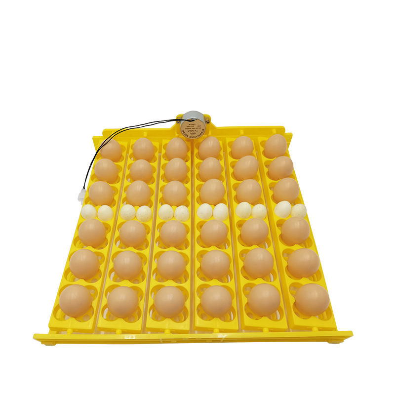 Placa de huevo para incubar con motor 36 Placa de torneado de huevo automático 156 bandeja de huevo de pájaro accesorios de incubadora pequeña