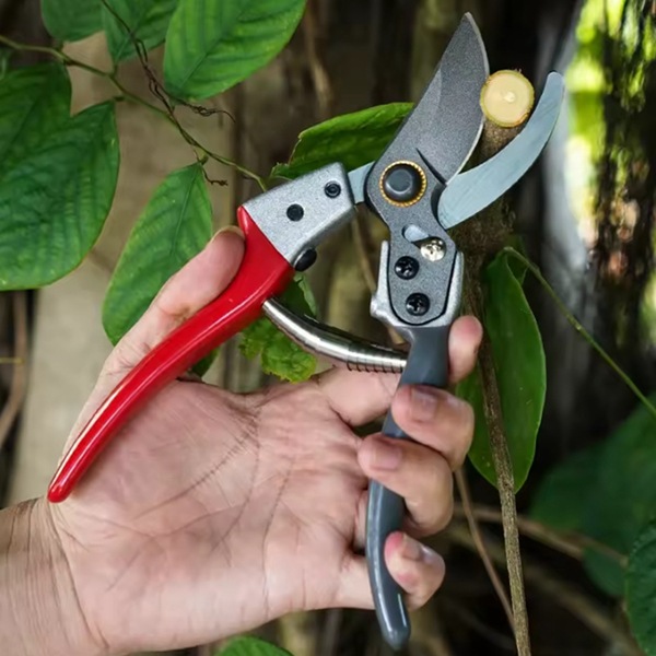 1个 颜色：图片色 材质：不锈钢 果树修枝剪刀 园艺剪刀 果枝花枝