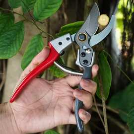 1个 颜色：图片色 材质：不锈钢 果树修枝剪刀 园艺剪刀 果枝花枝