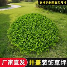 ����Gֲ���w�ڳ��b�Ʒ�G�~��Ƥ¶������ͥԺ�b�������Ƥ���l