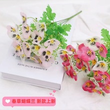 �¿�ݺ����m���滨�ȼ������_�m�������컨����Ҿ��b����l