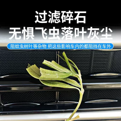 Net Water Tank Protective Net — Automobile anti-insect net