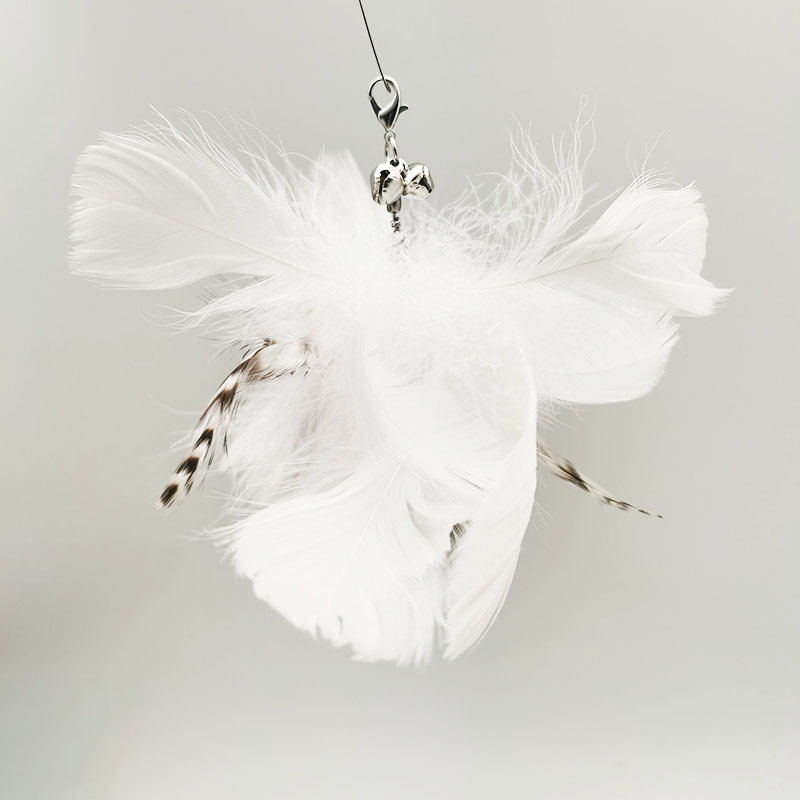 화이트 6 2 깃털 교체 헤드