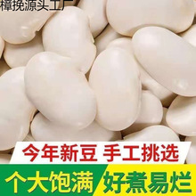 ��ܿ����؛500g��؛��������ܿ�����r녶��󶹟o���׶�ѩ���ּZ