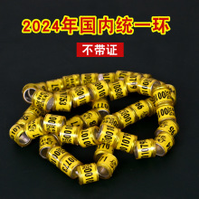 2024hhhhӛ̖hِyһh_hƷ