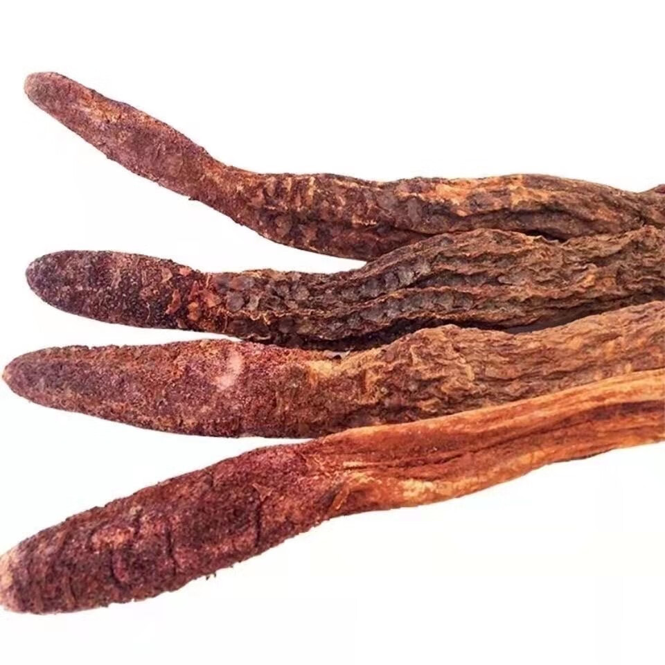 Cynomorium Whole Root and Slices Suo Yang TCM Herbal Tonic for Wine Infusion and Decoction 1000g quality and texture