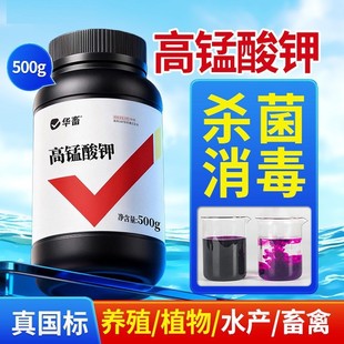 ���i������������������Bֳ���i��Ȧˮ�a�Bֳ�Fș��ĩ�~������Һ