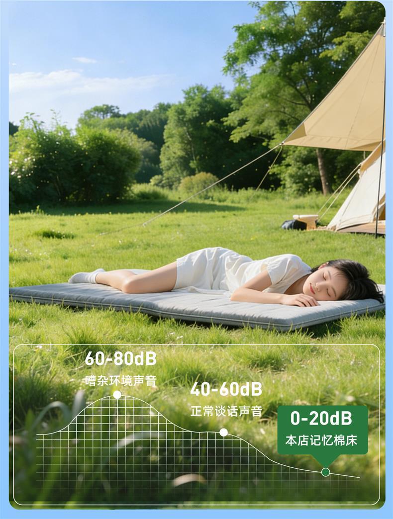 Lingpao D19 special car mattress, rear seat sleeping pad, car sleeping gadget, inflatable bed for long-distance self-driving trips