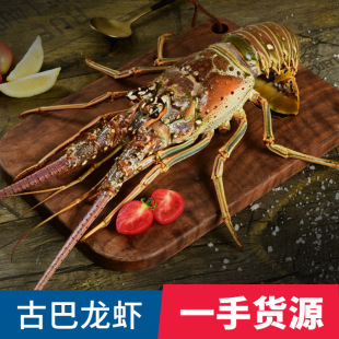 �Ű����r��������������횲�[��ϯ�ش��rС�۷����r���r�ك�