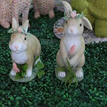 �Wʽ�e�����@���^����ͥԺ�����b�֬��ɫ�¼��{���Ӳݵؔ[��