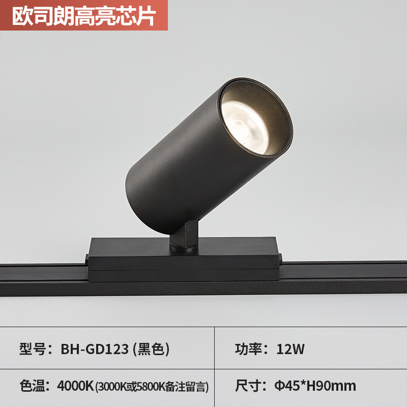 Spotlight 12W (black)  + ¥42.00 