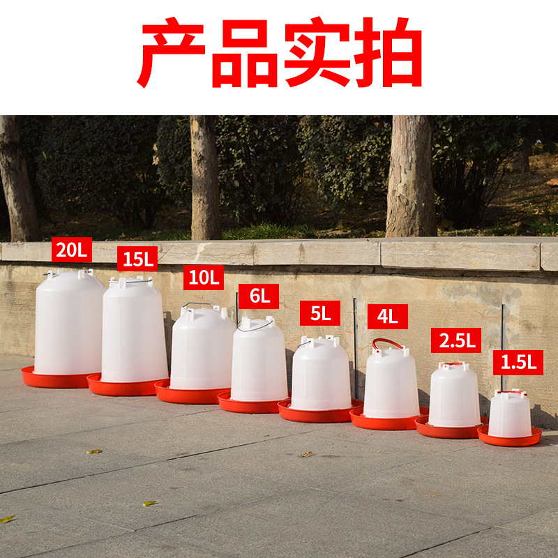 Fregadero de pollo botella de agua potable cubo dispensador de agua potable de pollo alimentador de agua automático hervidor de alimentación de pollo suministros de equipos de cría de pollos