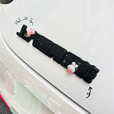 Other Automotive Interior Supplies: front and rear car logo