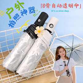 跨境透明伞韩版网红小清新折叠伞自动透明三折雨伞logo定制广告伞